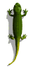 llangardaix imatges-animades-gif